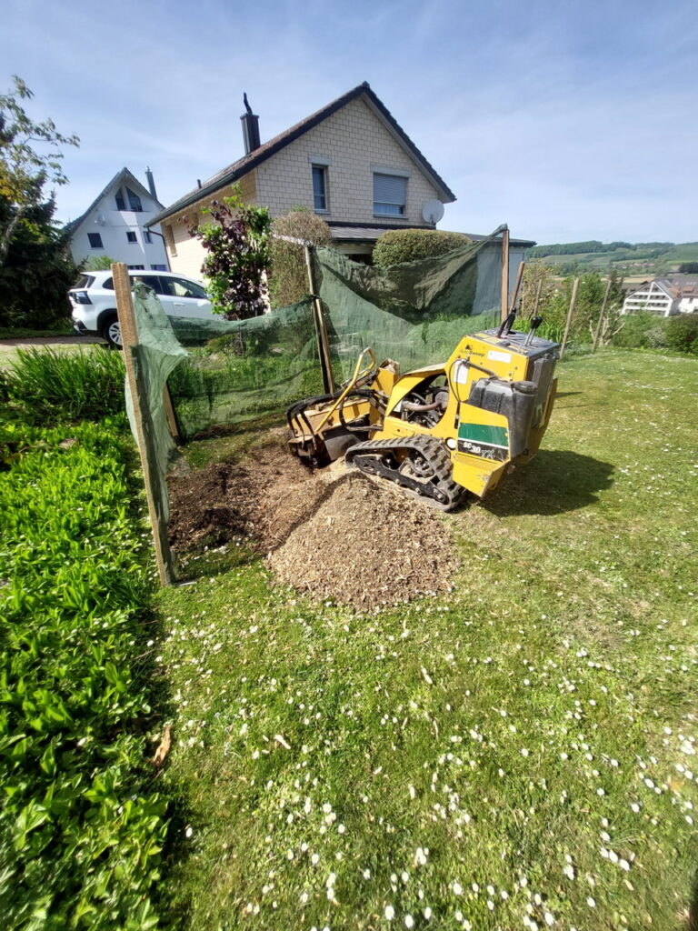 Baumstockfräse im Einsatz