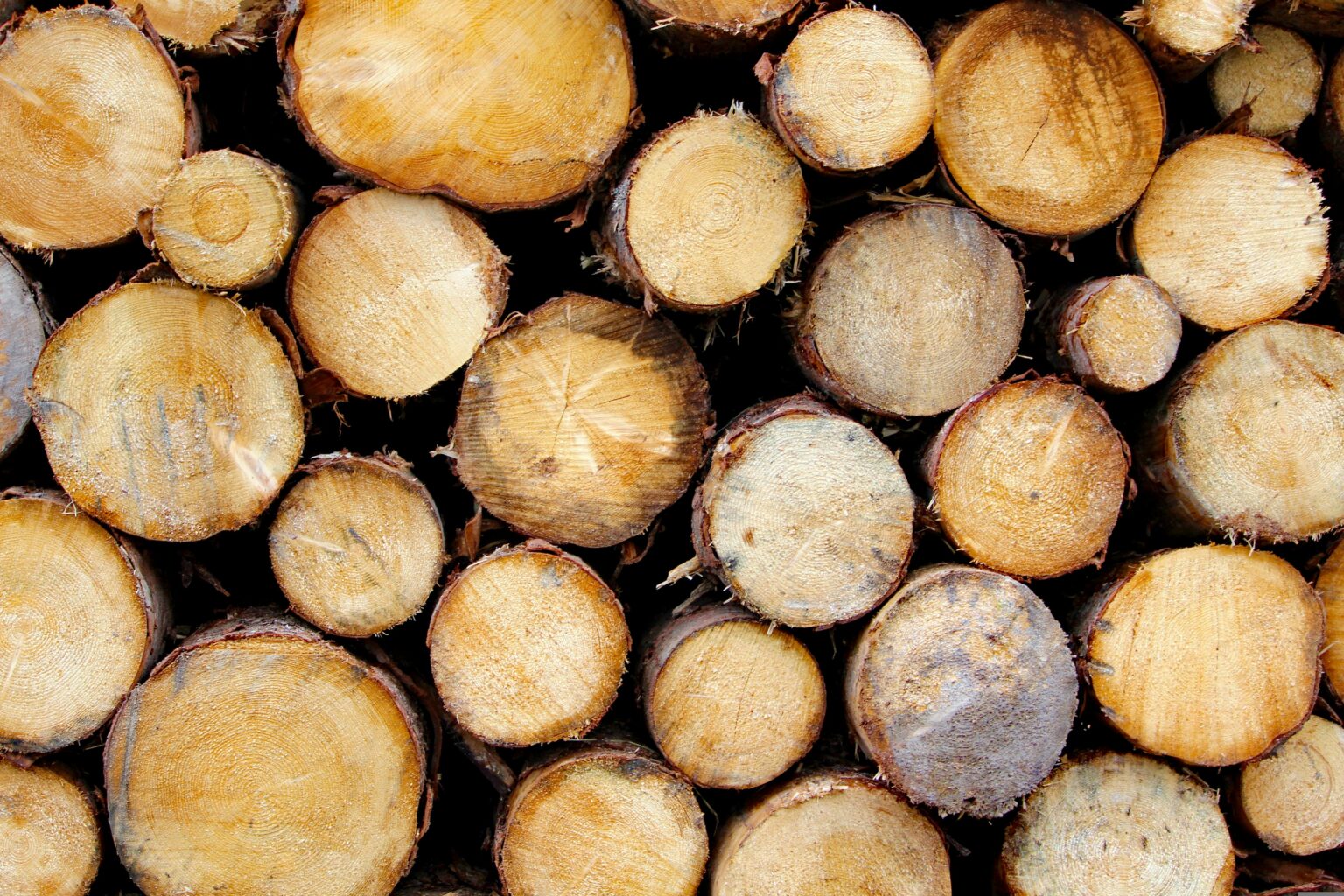 Holzsstapel